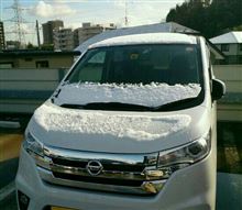 今年初の積雪！