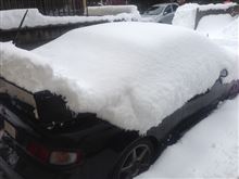 冬が来た(-_-;)