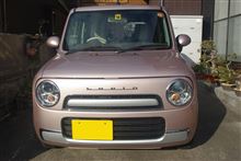 今度の代車は、チョコうさぎ