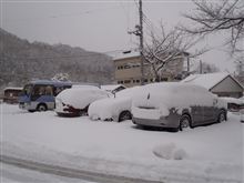 今朝はイイ雪でした…