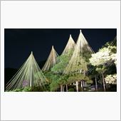 ひとり旅 ‐ 3日目 （夜の ...