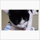グランツーリスモ「ご」
