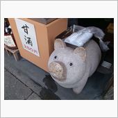 P&amp;Gさん主催、箱根〜江ノ島 ...