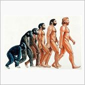 CGで学ぶ、進化論(笑)