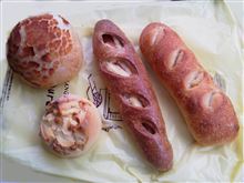 今日のイルミとパン。木曜日。