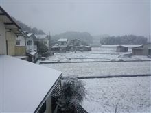 ３ｃｍ　積雪