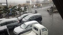 ゆき・・・ユキ・・・雪