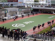 今年最後の競馬場参戦