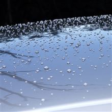 キレイな水玉