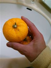 ゆず湯
