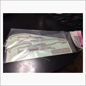 【R30】GT-ESポールニ ...
