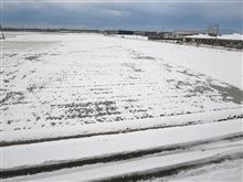 雪降って、年末で、クリスマスで・・・