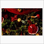 Merry X&#39;mas Sh ...