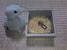 コイツも切れた