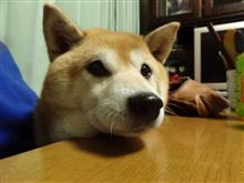 いろいろ・・・　