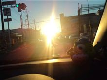 眩しい～