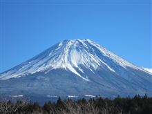 江戸へ行って来ました。
