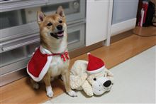 ☆☆クリスマスパーティー☆☆