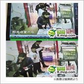 流石は、犯罪者大国の馬鹿民族女