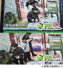 流石は、犯罪者大国の馬鹿民族女