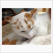 ヤバッ、頭痛が〜おはです！