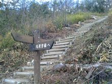 1234段の急階段を直登する登山コース（｀&#180;）