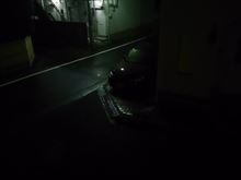 嗚呼　仕事納めですじゃ(=゜ω゜)ｳﾎﾎﾎﾎ......♪