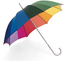 ところにより「雨」・・・・。