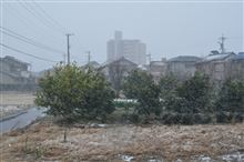 雪～～！！！！