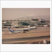 写真の未来は？