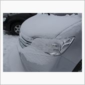 雪の白馬から晴天の静岡へ。