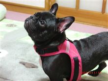 9連休初日 9連休初日