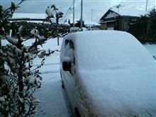 雪 積もりました。