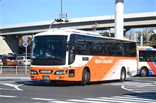 休日おでかけ