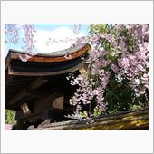 年末に向けての…ひとりごと。
