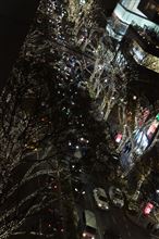 2013-2014 Winter in Tokyo♪　
