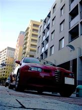 師走あれやこれや２０１３・・・もうすぐヘビ年も終わってしまうね・・・