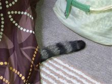 今年を振り返る・・・ 今年を振り返る・・・