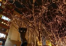 2013年12月28日 仙台光のページェント