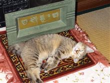 今年を振り返って。
