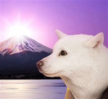 西へ