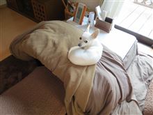 大掃除中に 大掃除中に