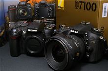 11月、お年玉の先食いでD7100降臨? 11月、お年玉の先食いでD7100降臨?