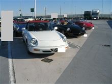 alfaromeo duetto 今年の締めは、spider オフ!! alfaromeo duetto 今年の締めは、spider オフ!!