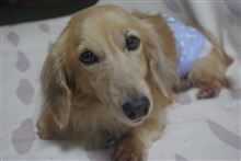 今年もありがとうございました