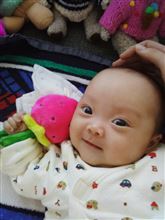 さようなら2013年 さようなら2013年