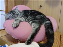 今年も残すところ・・・