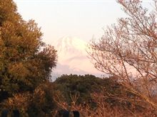 ２０１４年になりましたね