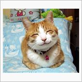 明けましておめでとうございま ...