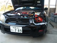 噂では正月のようです。